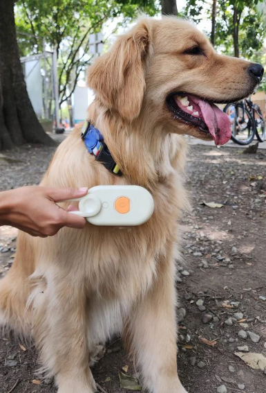 Cepillo de Vapor Con Mango 3 En 1