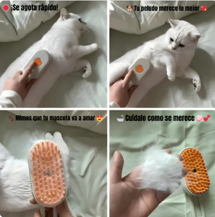 Cepillo de Vapor Con Mango 3 En 1